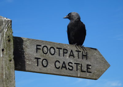 Footpath to Castle